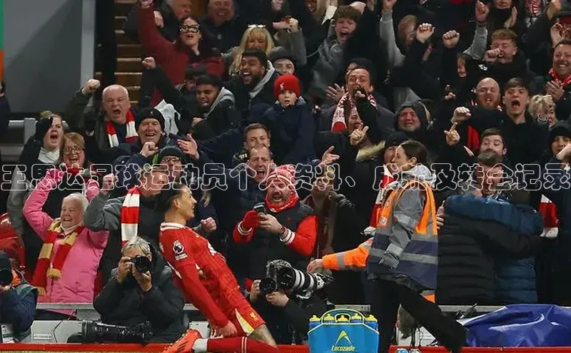 头号玩家龙八国际网址天键股份