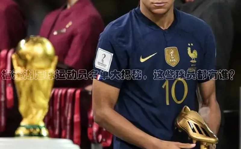 龙8官网地址百度安全社区