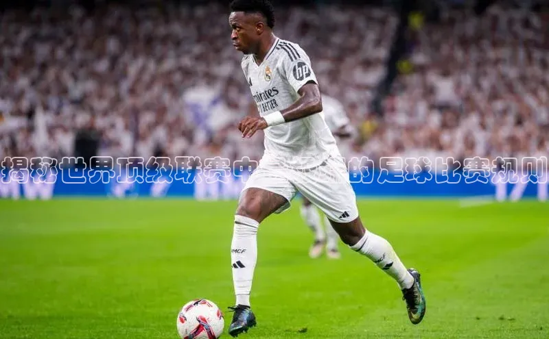 龙8登录入口小度商城