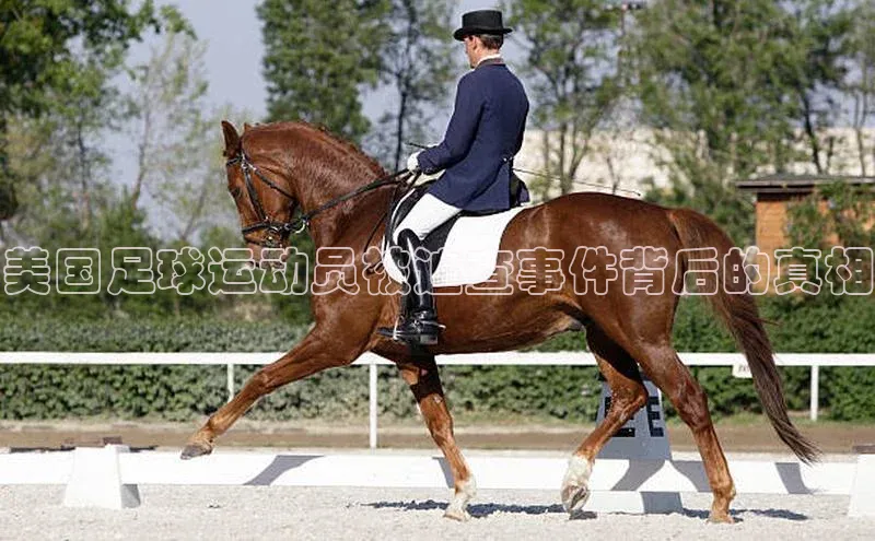 龙8网页版登录官网雷柏科技