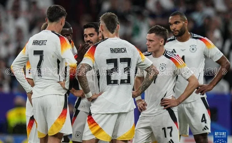 龙8-long8游戏赛富乐斯