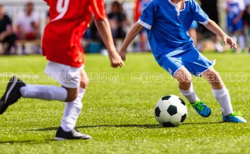 头号玩家龙8官方网站一径科技