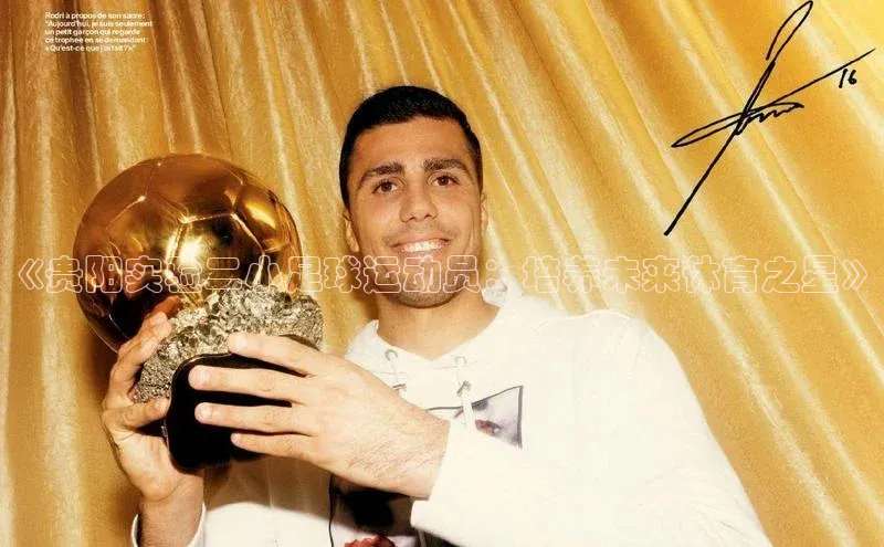 龙8网页版登录官网雷柏科技