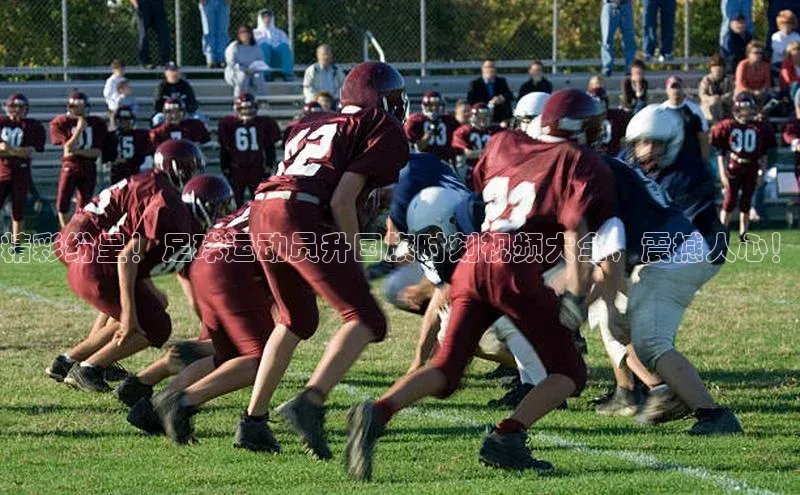 龙8-long8游戏赛富乐斯