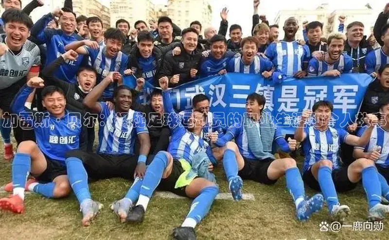 龙8官网在线试玩路畅科技