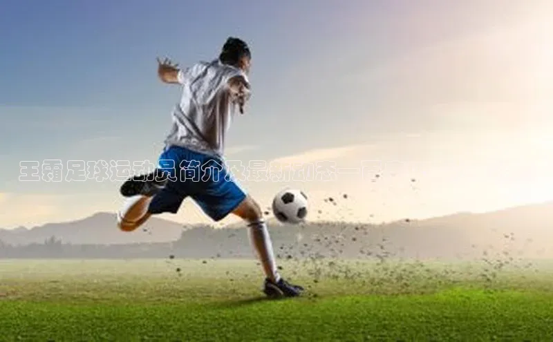 龙八国际app官方下载汉得信息