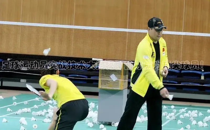 头玩官网登录入口华扬联众