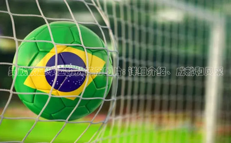 long8唯一官方网站登录头号玩家百度教育