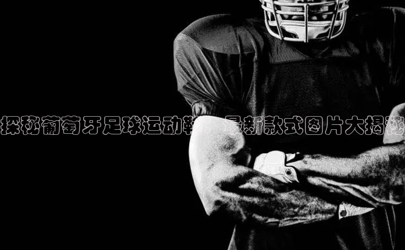 龙8网页版登录官网雷柏科技