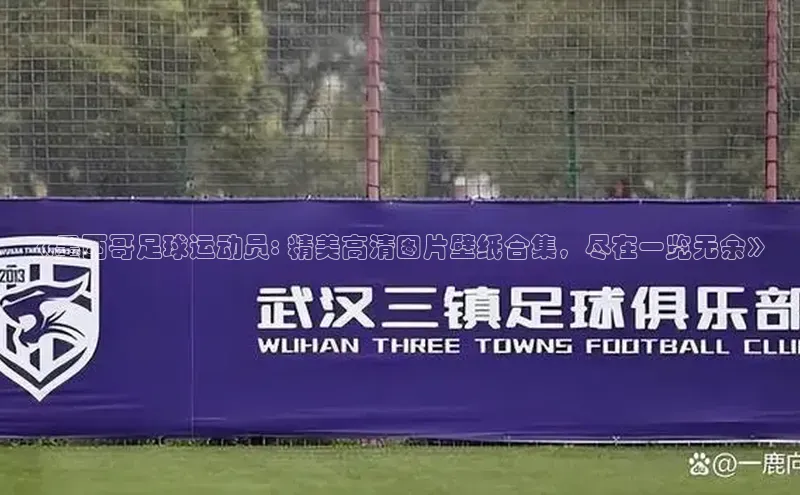 龙8-long8手机登入口百度识图