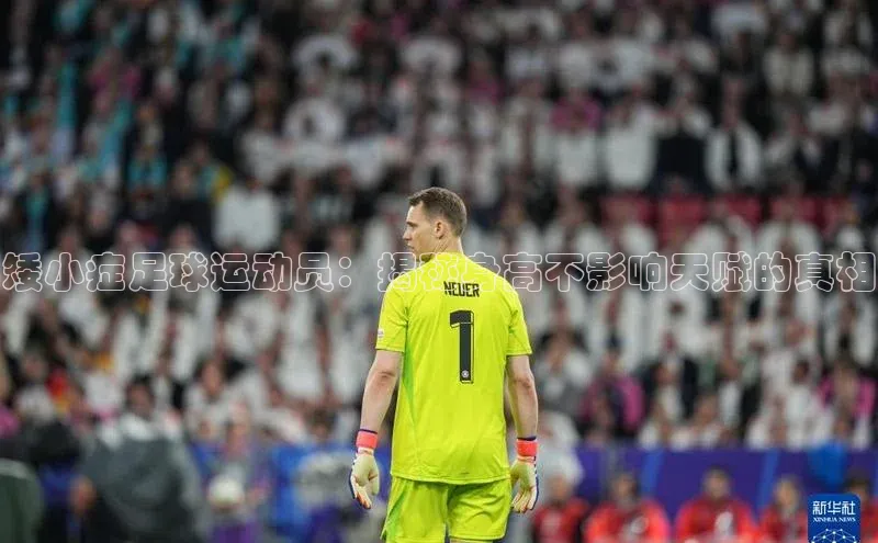 龙8官网地址百度安全社区