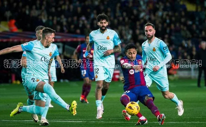 龙8-long8官网下载金山办公