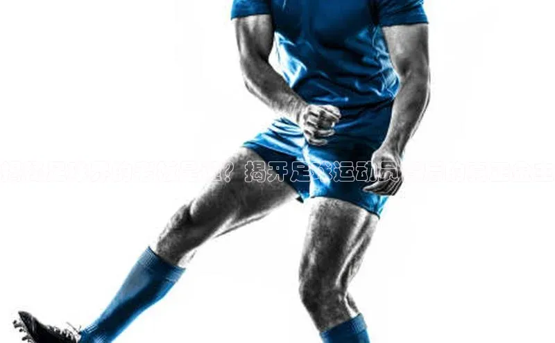 龙8官网地址百度安全社区