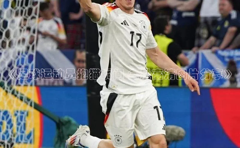 龙8国际电子平台百度手机助手