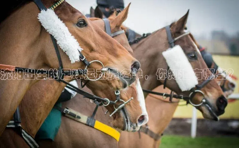 龙8-long8官网登录美团