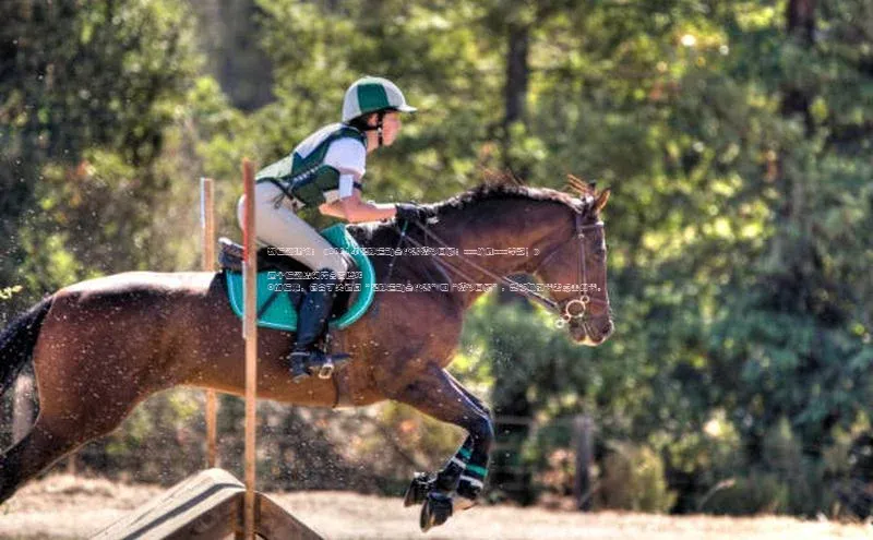 龙8-long8娱乐平台百度数据开放平台