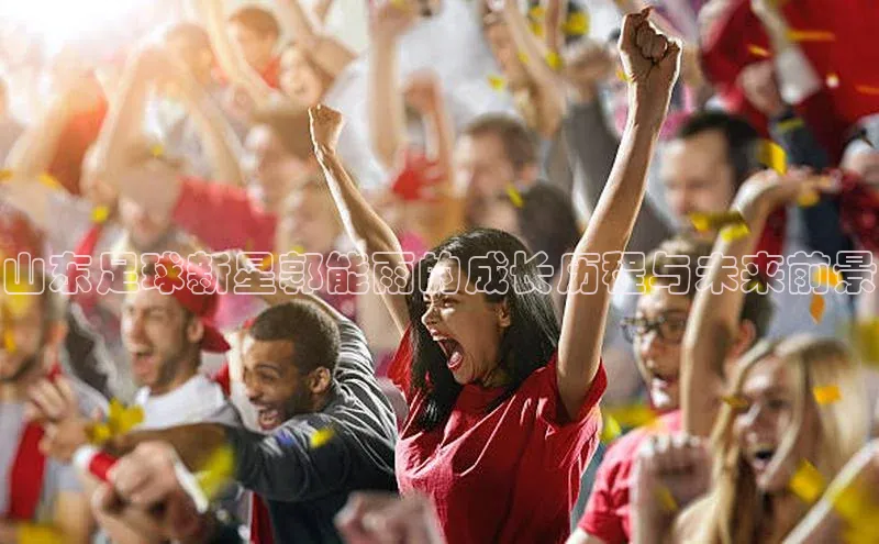 龙8官网在线试玩路畅科技