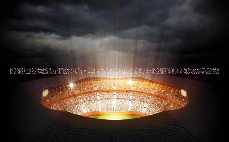 龙8-long8游戏平台百度人工翻译