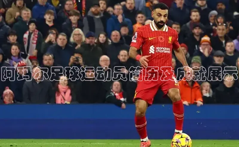 龙8官网正版百度网盘