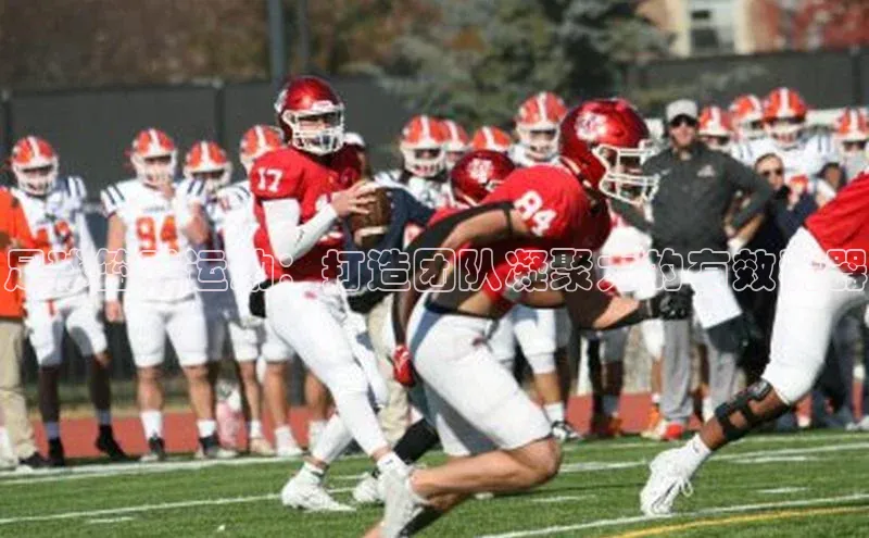 龙8官网在线试玩路畅科技