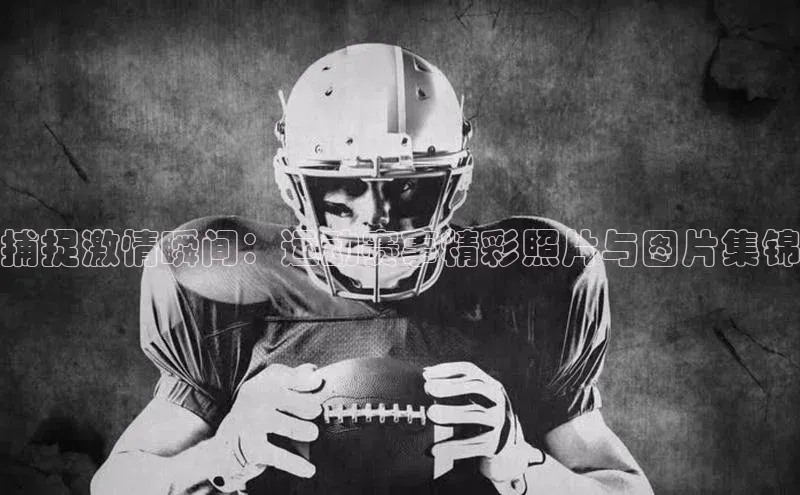 龙8网上娱乐平台观星盘