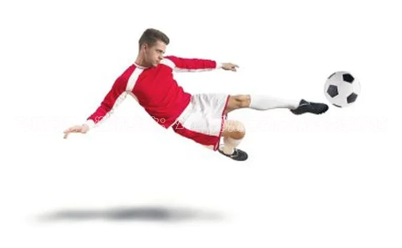 龙8-long8手机登入口百度识图