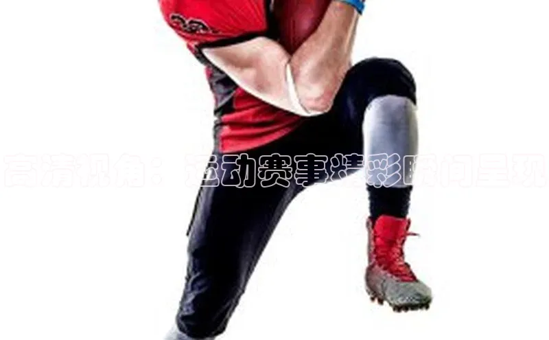 龙八国际app官网