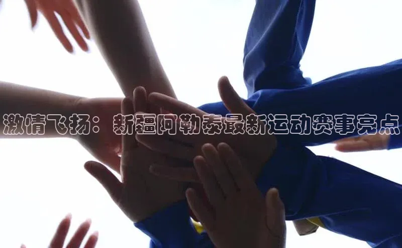 龙8官网手机登录入口