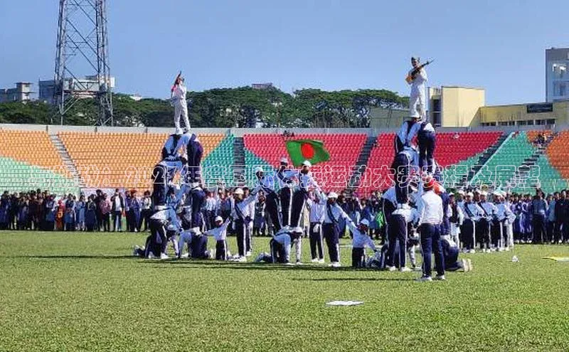 头玩官网登录入口