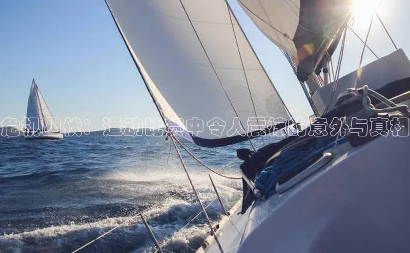 龙8官网手机登入口