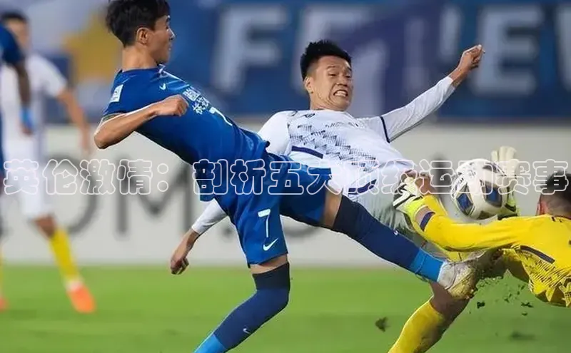 龙八国际app官网