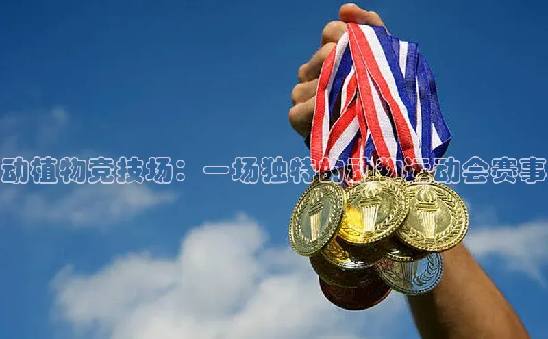 龙八国际app官方版