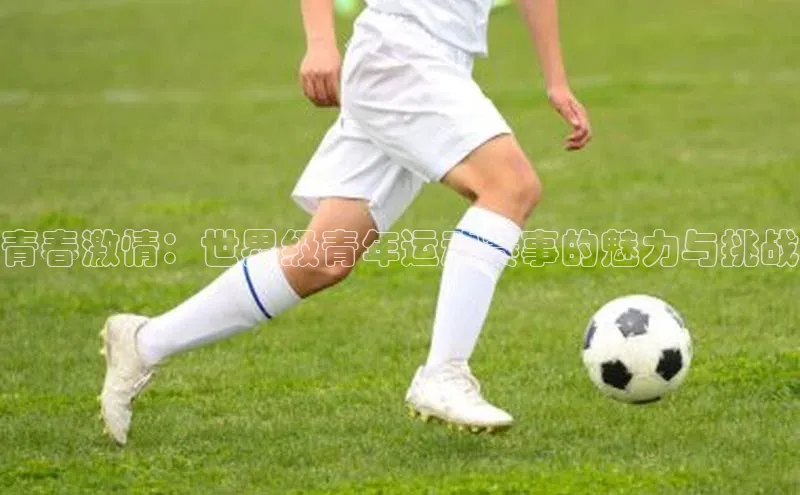 龙八国际app官网