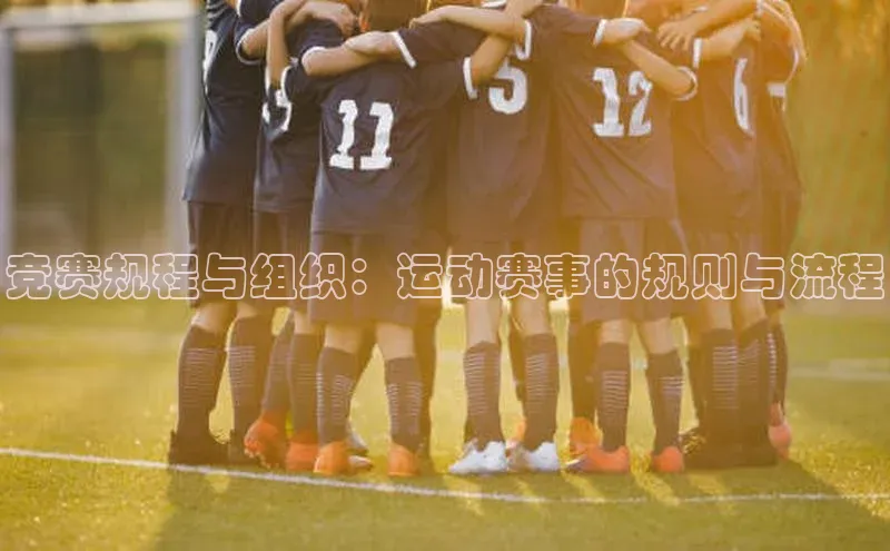 竞赛规程与组织：运动赛事的规则与流程