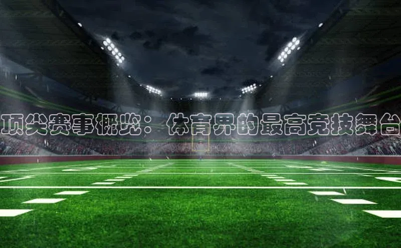 龙8官网地址
